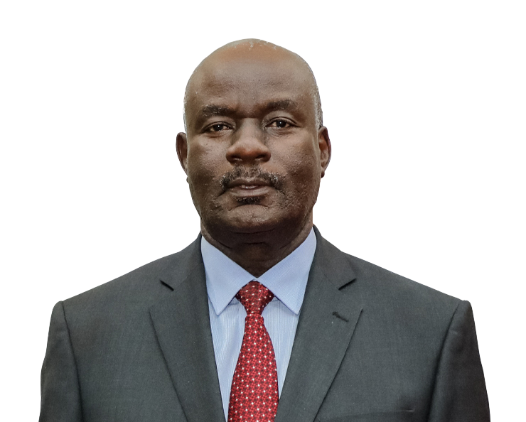 HIS LORDSHIP HON. GEORGE MCHECHE MASAJU