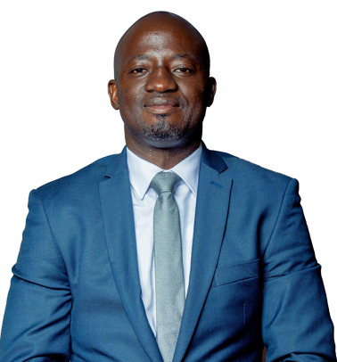 Mr. Ferdinand S. Nyathi