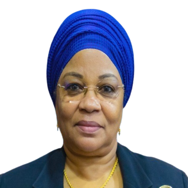 Dr. Natu E. Mwamba