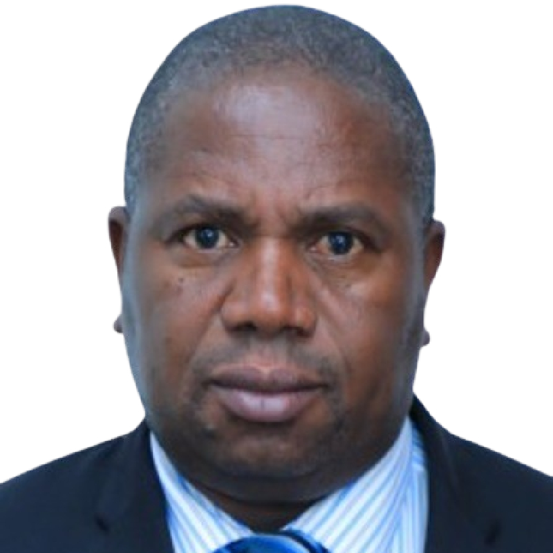 Mr. Adolf H. Ndunguru