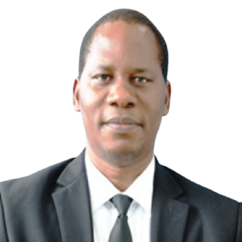 Dr. Faraji K. Mnyepe