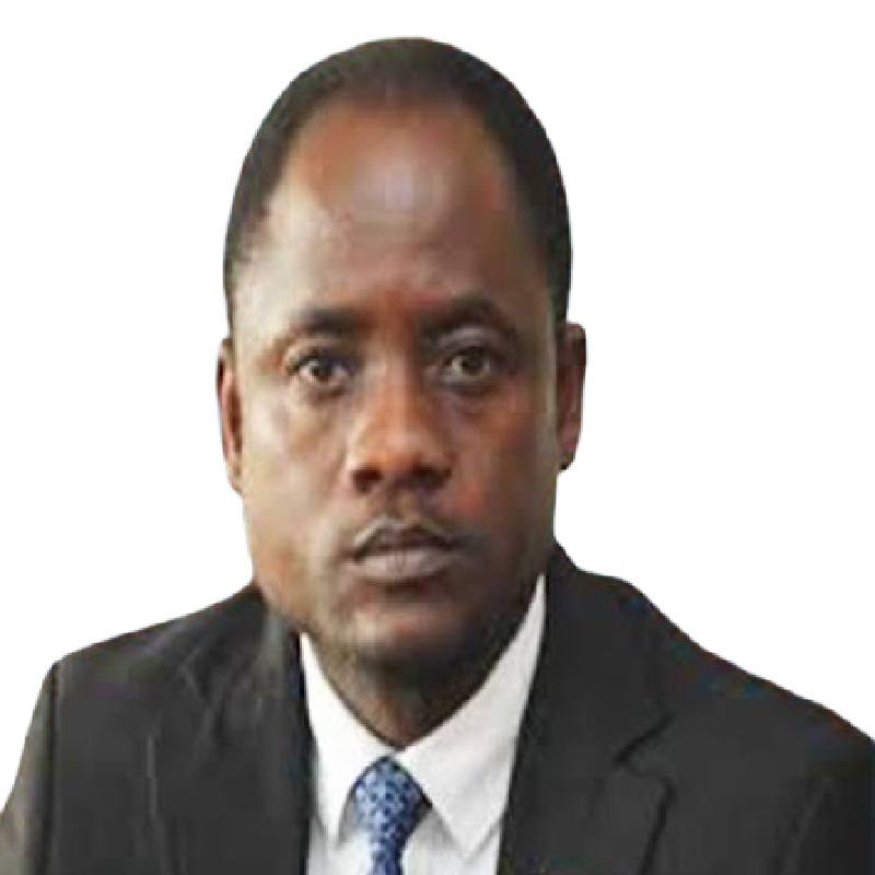 Mr. Samwel Maneno