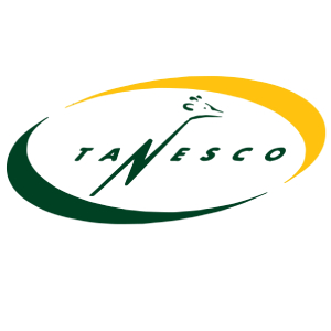 Tanzania Electric Supply Company
