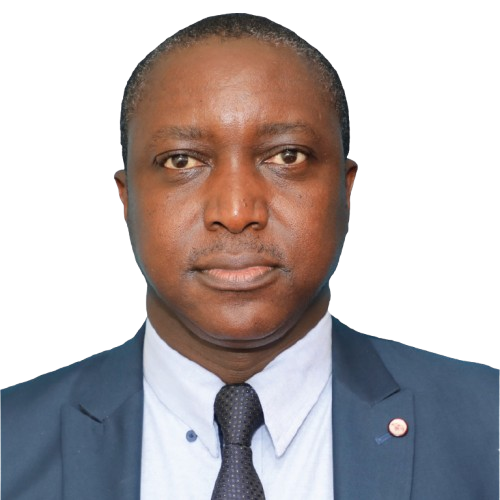 Mr. Godfrey Nyaisa