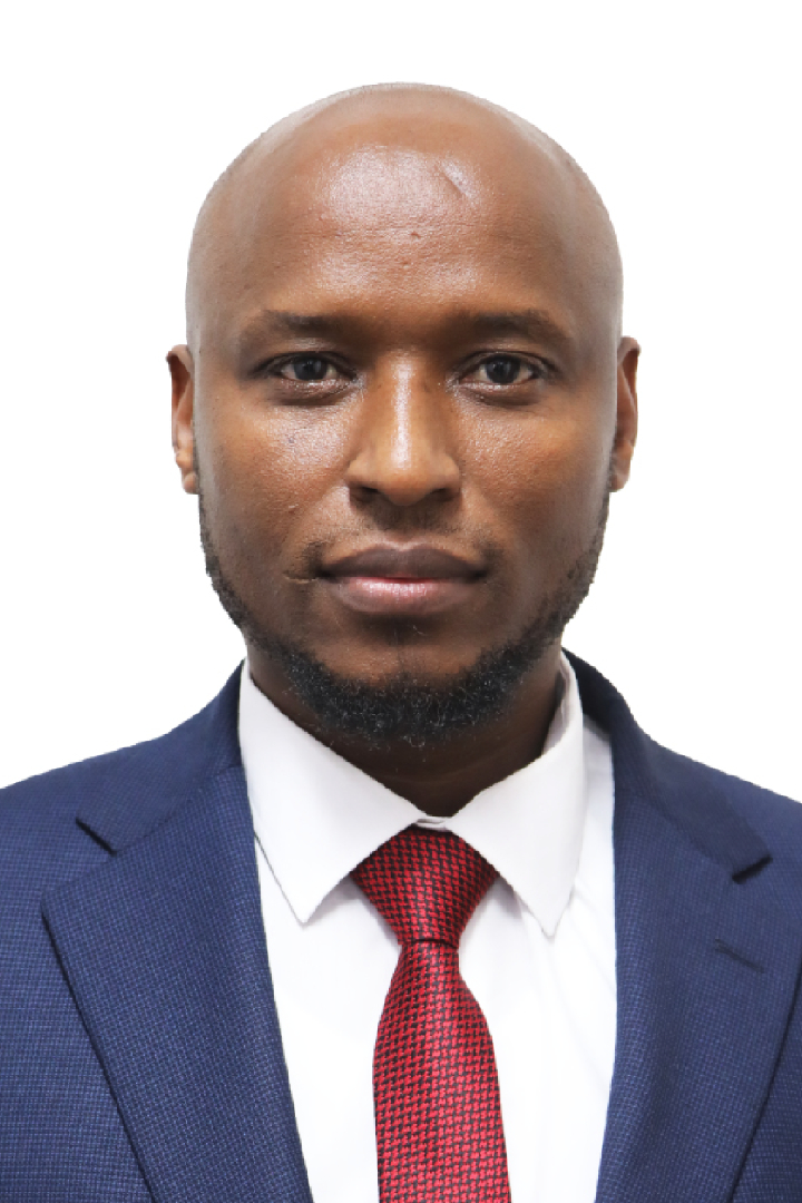 Mr. Ismail Mohamed Qwetso