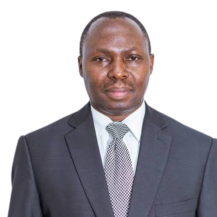 Mr. Francis Mwakapalila