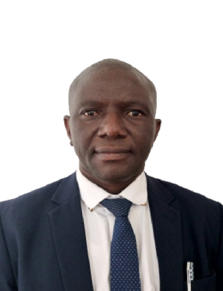 Mr. David N. Langa