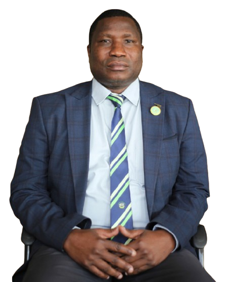 Seleman M. Mwamba